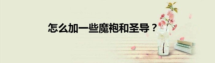 怎么加一些魔袍和圣导？