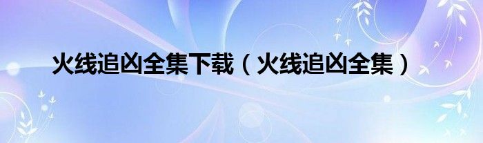 火线追凶全集下载（火线追凶全集）