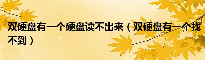 双硬盘有一个硬盘读不出来（双硬盘有一个找不到）
