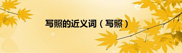 写照的近义词（写照）