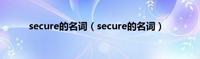secure的名词（secure的名词）