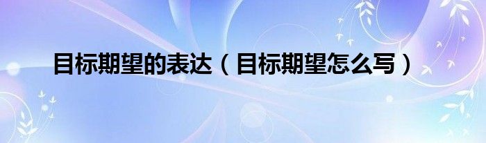 目标期望的表达（目标期望怎么写）