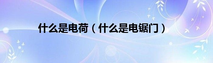 什么是电荷（什么是电锯门）