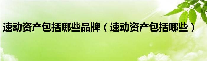 速动资产包括哪些品牌（速动资产包括哪些）