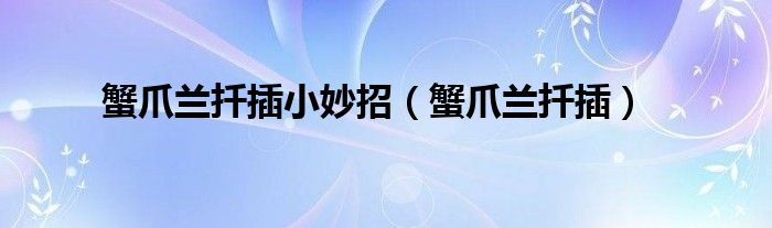 蟹爪兰扦插小妙招（蟹爪兰扦插）