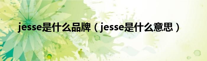 jesse是什么品牌（jesse是什么意思）