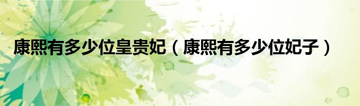 康熙有多少位皇贵妃（康熙有多少位妃子）