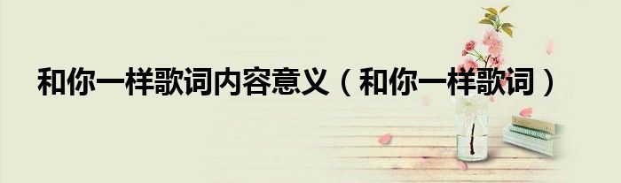 和你一样歌词内容意义（和你一样歌词）