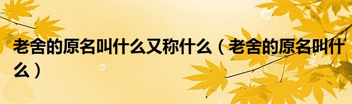 老舍的原名叫什么又称什么（老舍的原名叫什么）