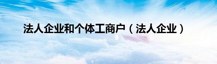 法人企业和个体工商户（法人企业）