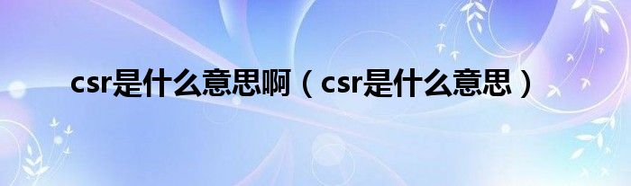 csr是什么意思啊（csr是什么意思）