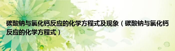 碳酸钠与氯化钙反应的化学方程式及现象（碳酸钠与氯化钙反应的化学方程式）