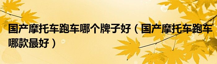 国产摩托车跑车哪个牌子好（国产摩托车跑车哪款最好）