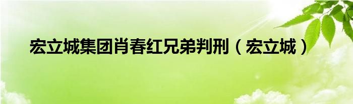 宏立城集团肖春红兄弟判刑（宏立城）