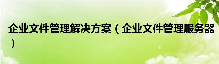 企业文件管理解决方案（企业文件管理服务器）