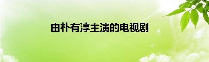 由朴有淳主演的电视剧