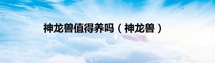 神龙兽值得养吗（神龙兽）