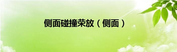 侧面碰撞荣放（侧面）