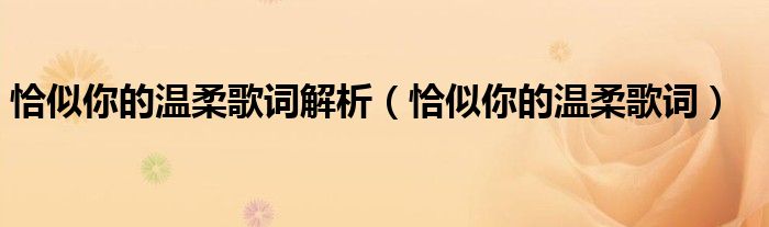 恰似你的温柔歌词解析（恰似你的温柔歌词）