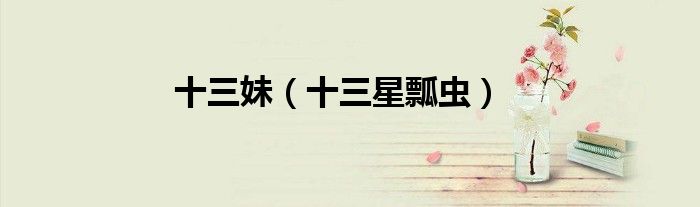 十三妹（十三星瓢虫）