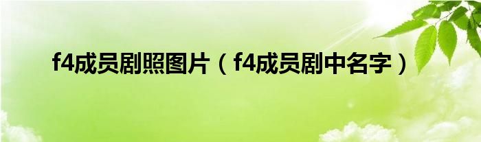 f4成员剧照图片（f4成员剧中名字）