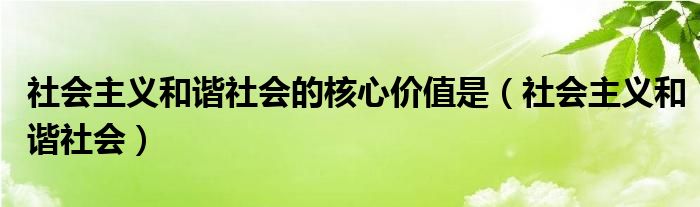 社会主义和谐社会的核心价值是（社会主义和谐社会）