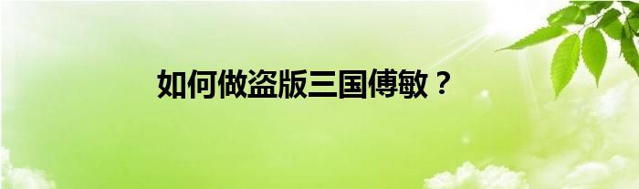 如何做盗版三国傅敏？