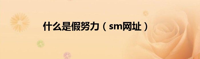 什么是假努力（sm网址）