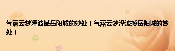 气蒸云梦泽波撼岳阳城的妙处（气蒸云梦泽波撼岳阳城的妙处）