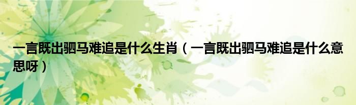 一言既出驷马难追是什么生肖（一言既出驷马难追是什么意思呀）
