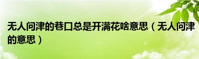 无人问津的巷口总是开满花啥意思（无人问津的意思）