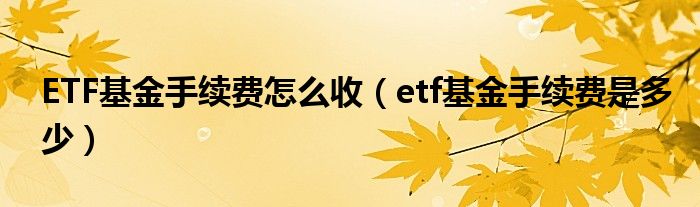 ETF基金手续费怎么收（etf基金手续费是多少）