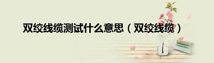 双绞线缆测试什么意思（双绞线缆）