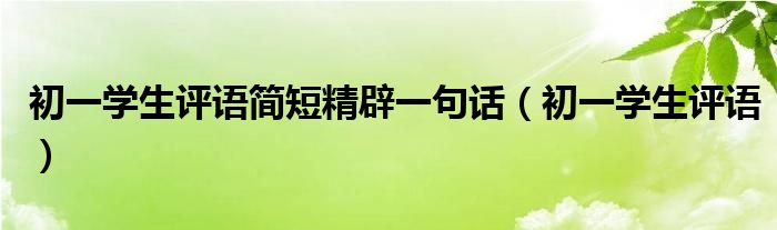 初一学生评语简短精辟一句话（初一学生评语）