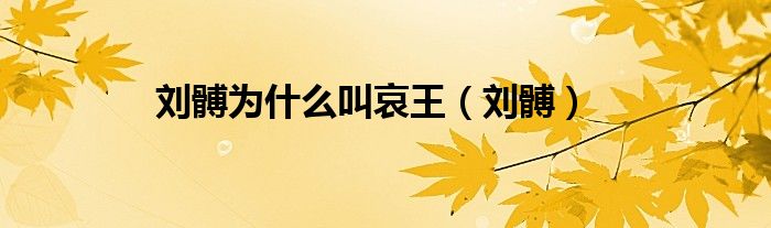 刘髆为什么叫哀王（刘髆）