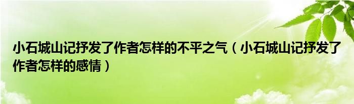 小石城山记抒发了作者怎样的不平之气（小石城山记抒发了作者怎样的感情）