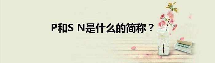 P和S N是什么的简称？