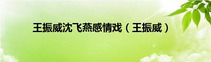 王振威沈飞燕感情戏（王振威）