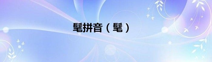 髦拼音（髦）