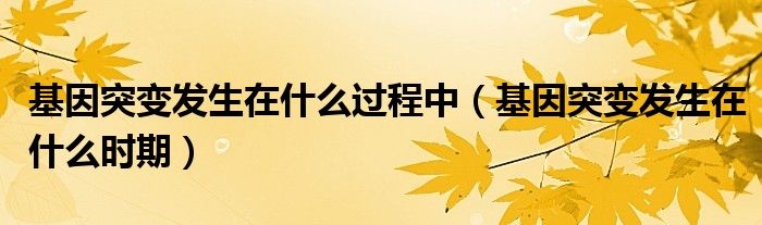 基因突变发生在什么过程中（基因突变发生在什么时期）
