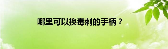 哪里可以换毒刺的手柄？