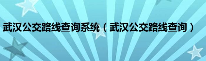 武汉公交路线查询系统（武汉公交路线查询）