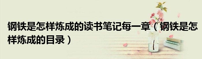 钢铁是怎样炼成的读书笔记每一章（钢铁是怎样炼成的目录）