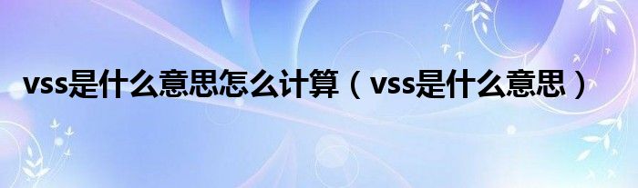 vss是什么意思怎么计算（vss是什么意思）
