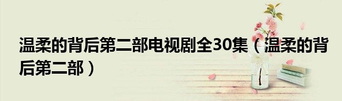 温柔的背后第二部电视剧全30集（温柔的背后第二部）