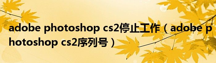 adobe photoshop cs2停止工作（adobe photoshop cs2序列号）