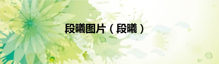 段曦图片（段曦）