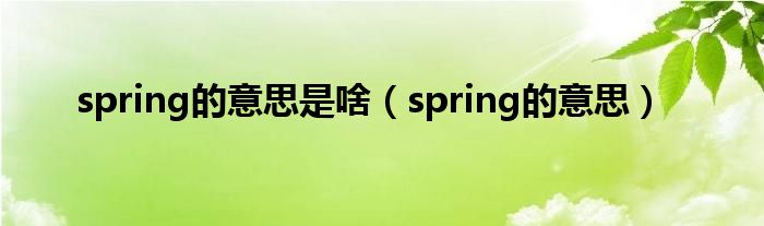 spring的意思是啥（spring的意思）