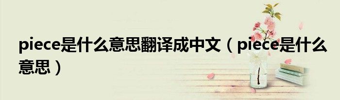 piece是什么意思翻译成中文（piece是什么意思）