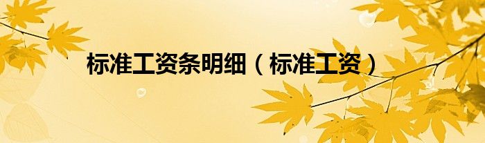 标准工资条明细（标准工资）